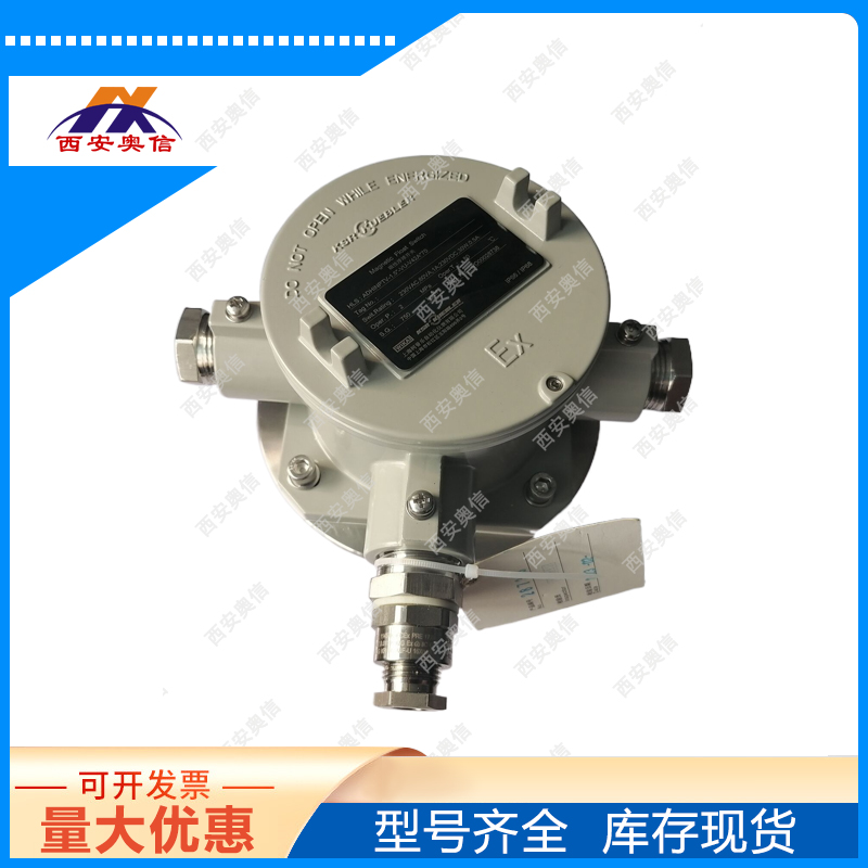 防爆液位开关ADHIFV-80/25/RF-VU/HT-L144 德国wika液位控制器 